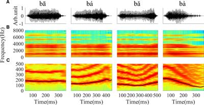 Temporal Coding of Voice Pitch Contours in Mandarin Tones